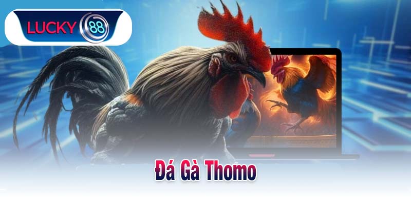 Đá Gà Thomo