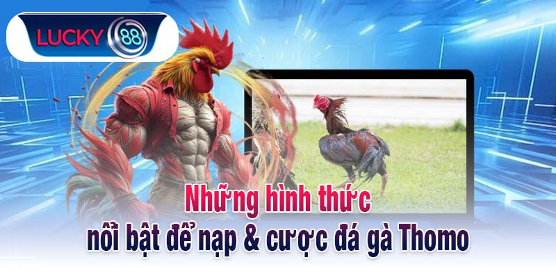 Những hình thức nổi bật để nạp & cược đá gà Thomo